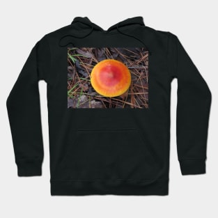 Reddish Orange Mushroom Hoodie